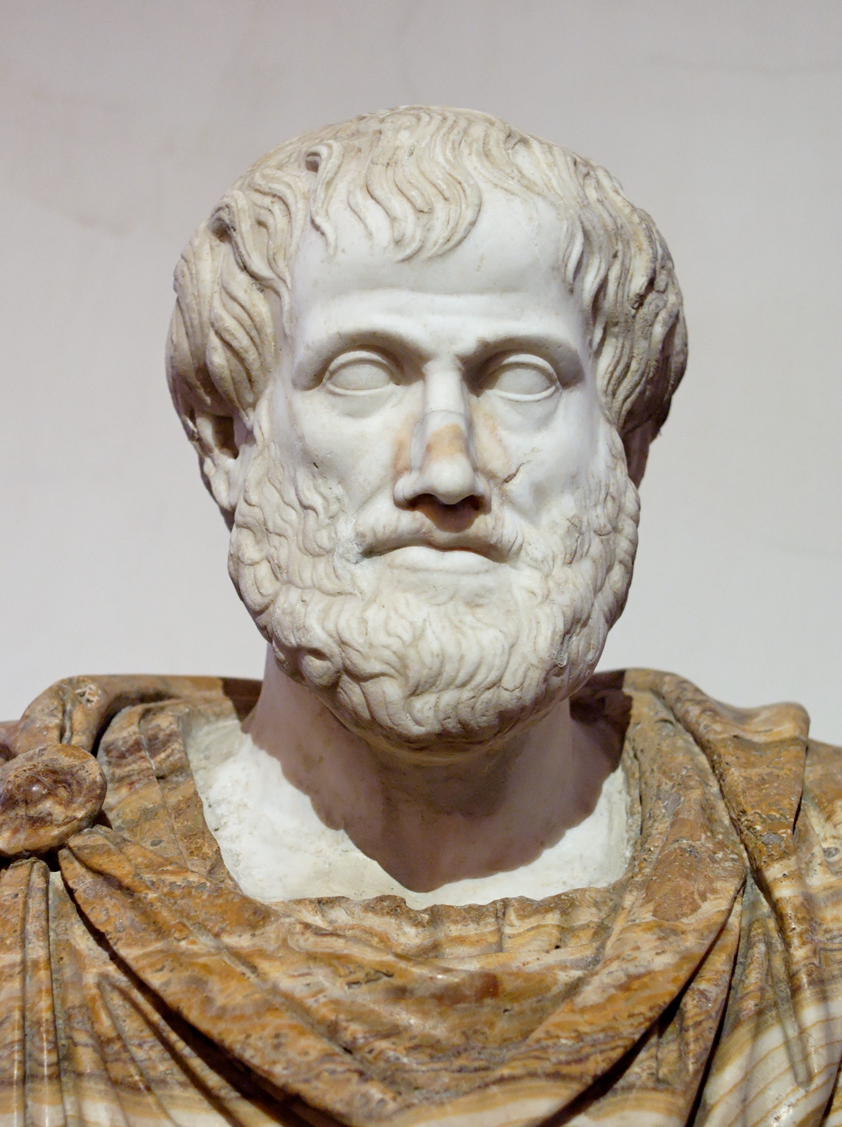 Aristotle Portrait