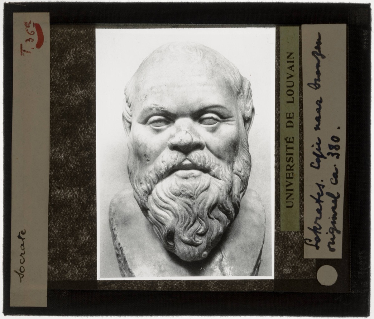 Plato Portrait