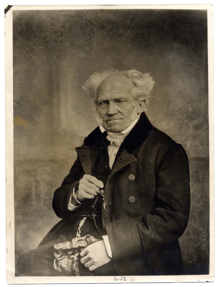 Arthur Schopenhauer Portrait